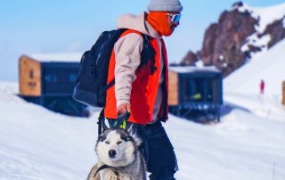 Person Walking Husky in the Snow